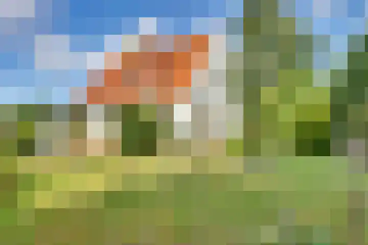 Raalterweg 18 Holten thumbnail 42