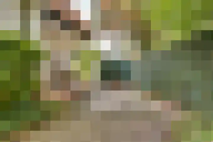 Raalterweg 18 Holten thumbnail 44