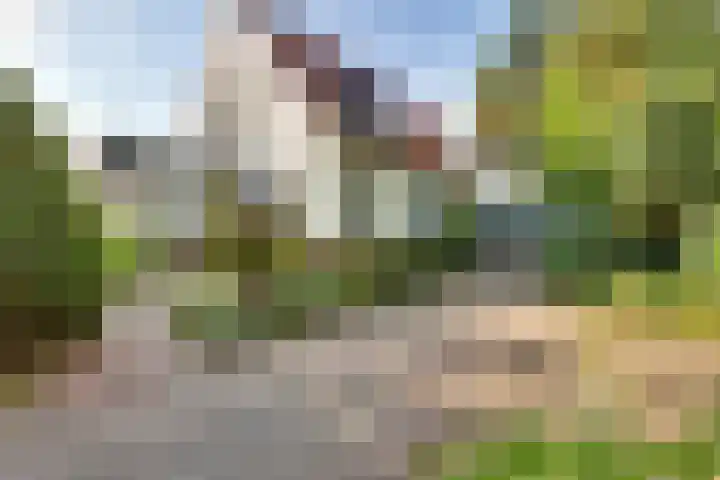 Raalterweg 18 Holten thumbnail 45