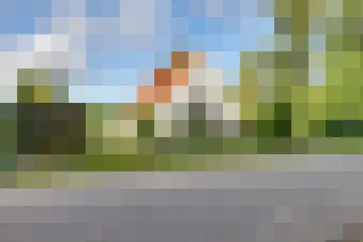Raalterweg 18 Holten thumbnail 49