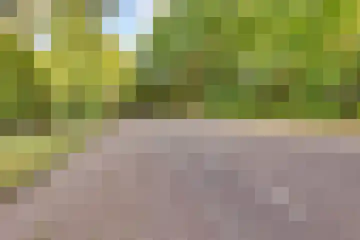 Raalterweg 18 Holten thumbnail 51