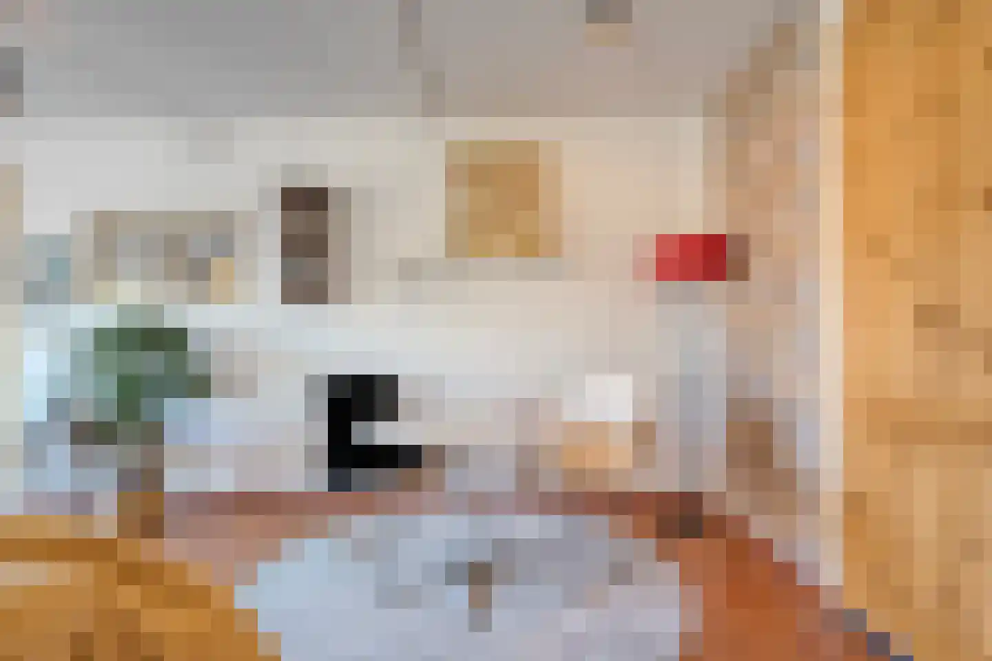 Raalterweg 24 a Wijhe thumbnail 12