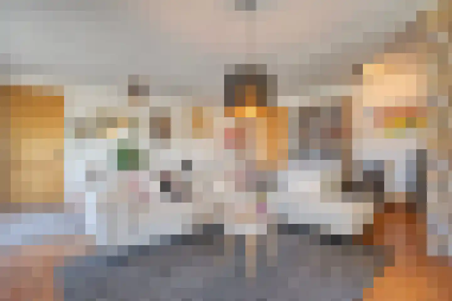 Raalterweg 24 a Wijhe thumbnail 13
