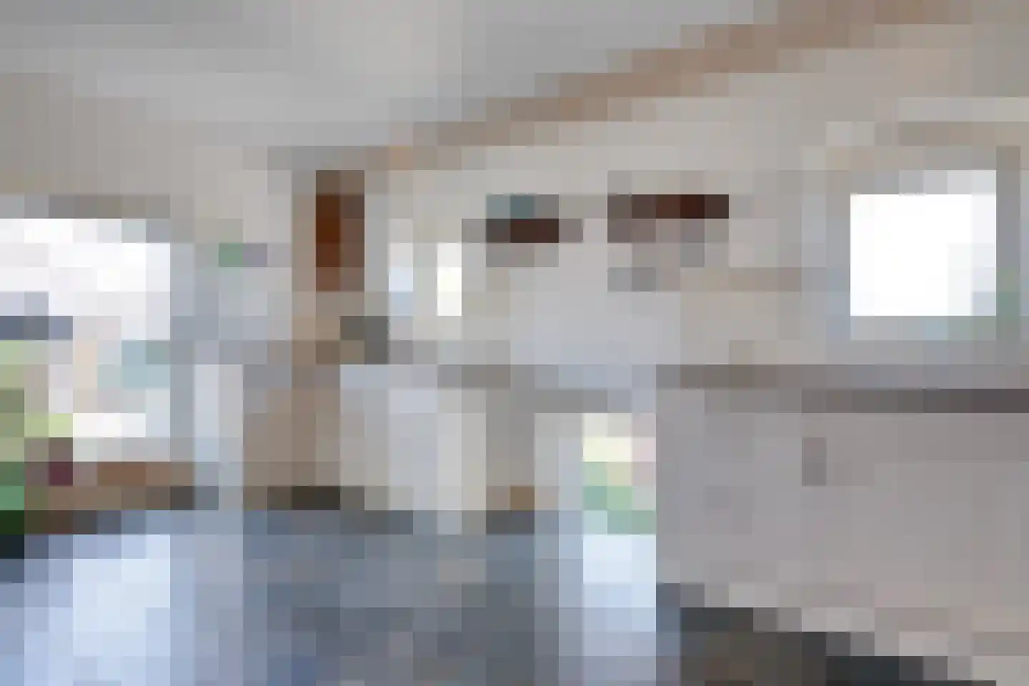 Raalterweg 24 a Wijhe thumbnail 17