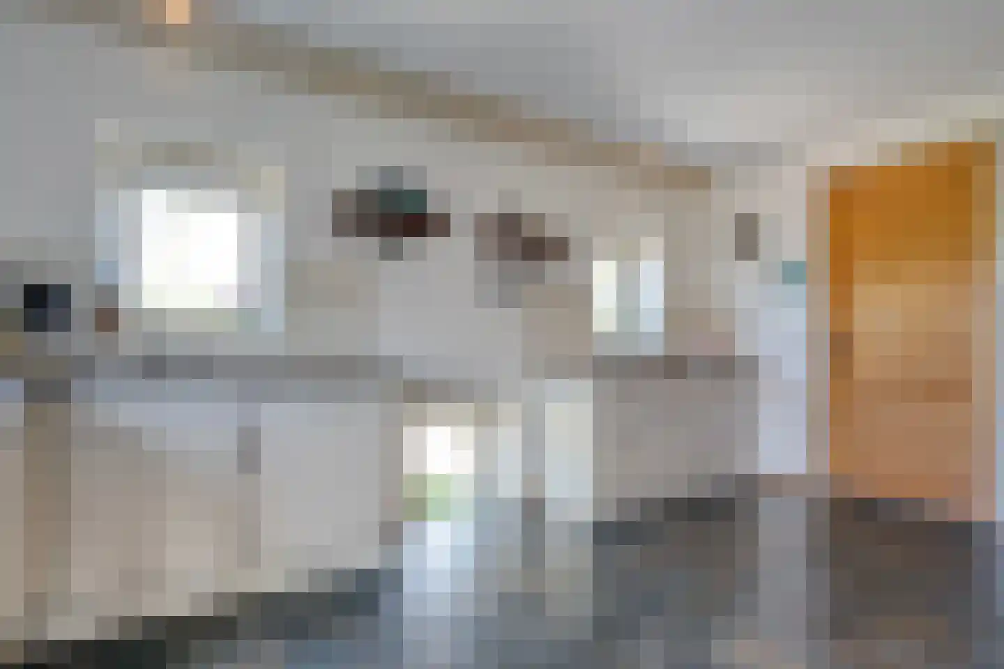 Raalterweg 24 a Wijhe thumbnail 18