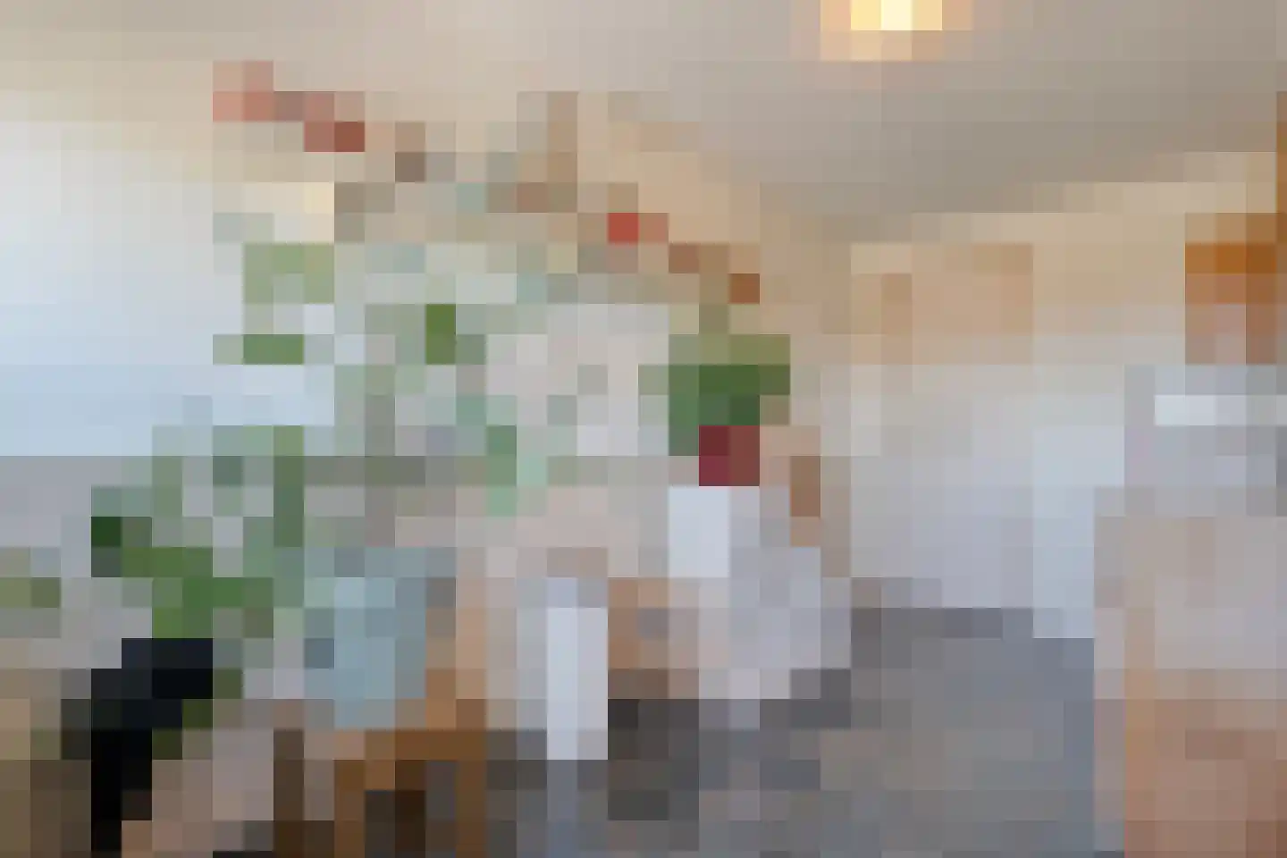 Raalterweg 24 a Wijhe thumbnail 19