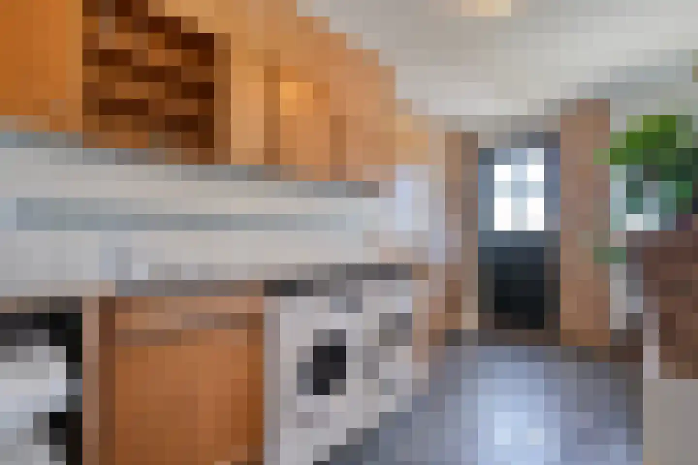 Raalterweg 24 a Wijhe thumbnail 20