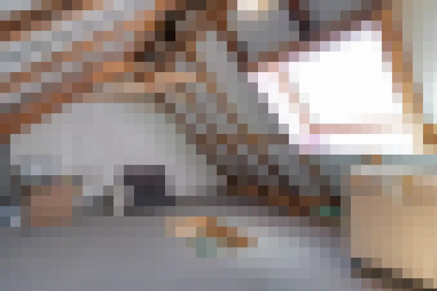 Raalterweg 24 a Wijhe thumbnail 34