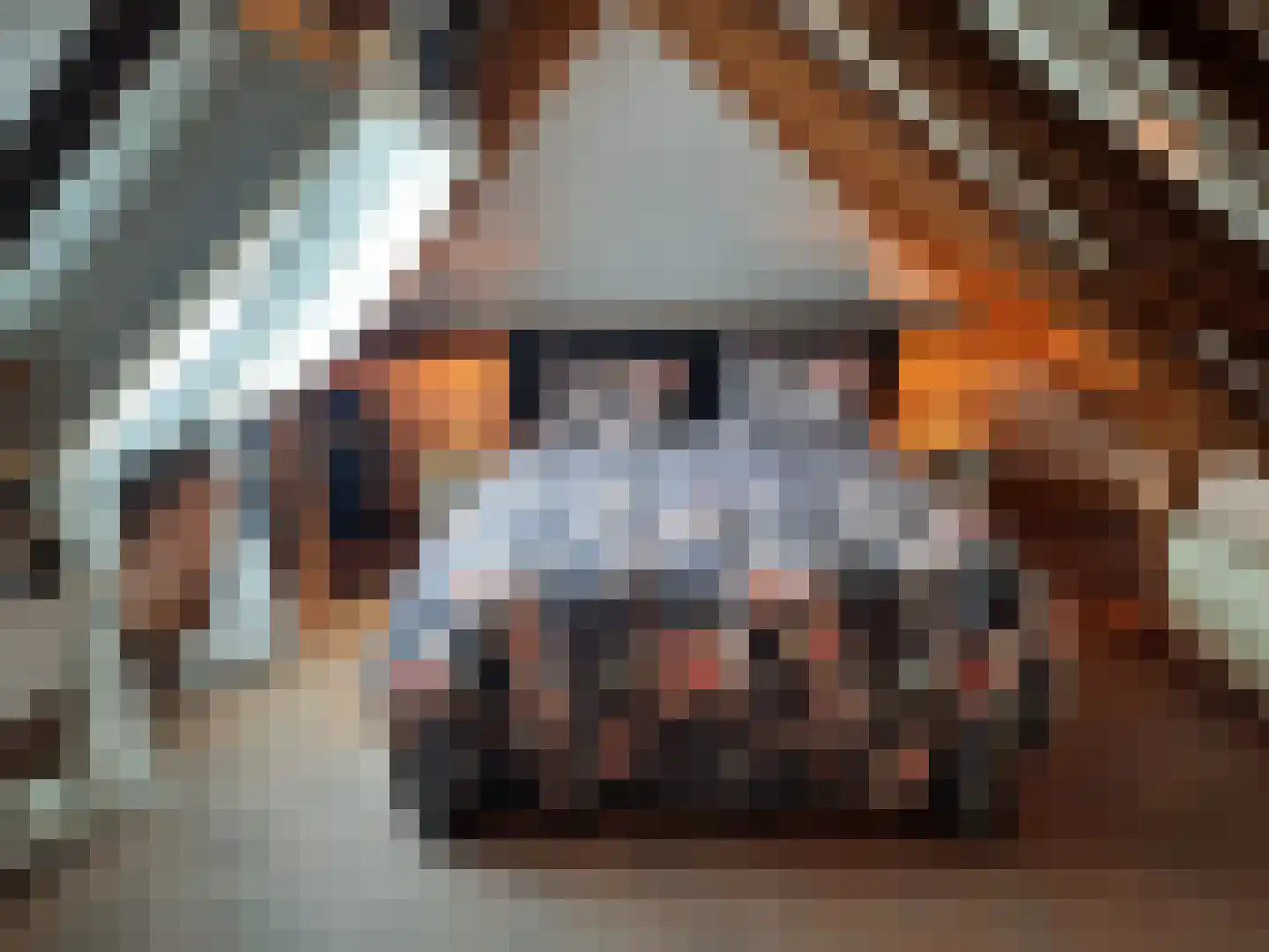 Raalterweg 24 a Wijhe thumbnail 43
