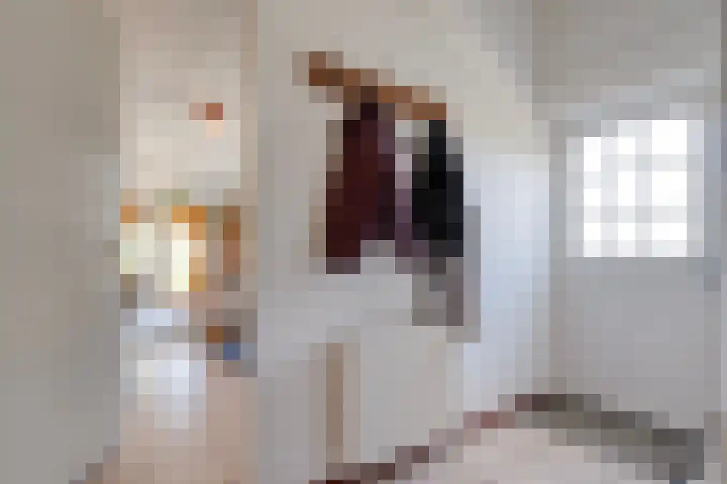Raalterweg 24 a Wijhe thumbnail 47