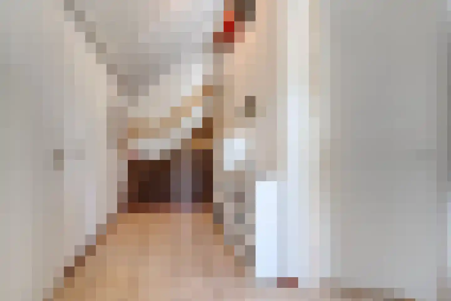 Raalterweg 24 a Wijhe thumbnail 48
