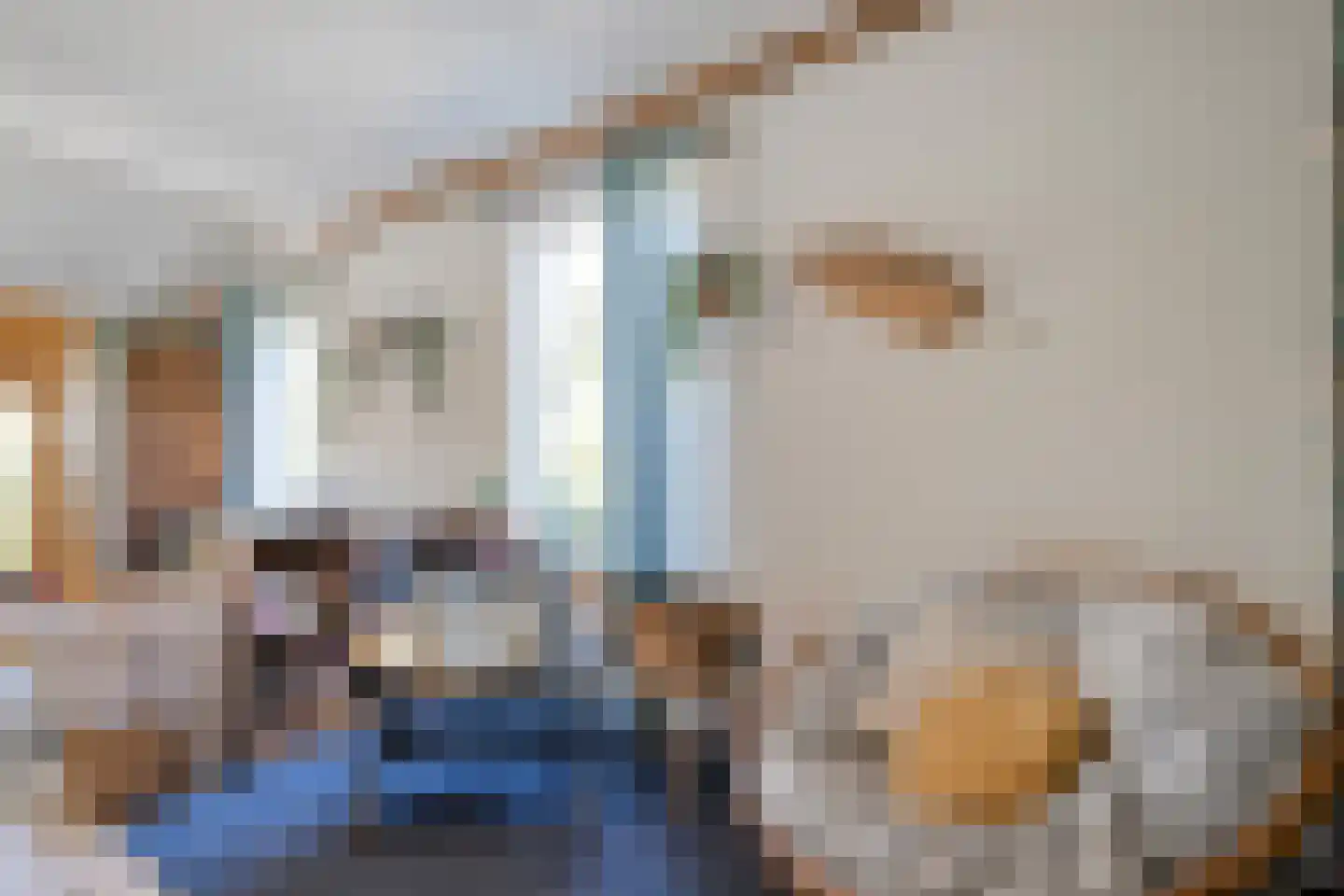 Raalterweg 24 a Wijhe thumbnail 51