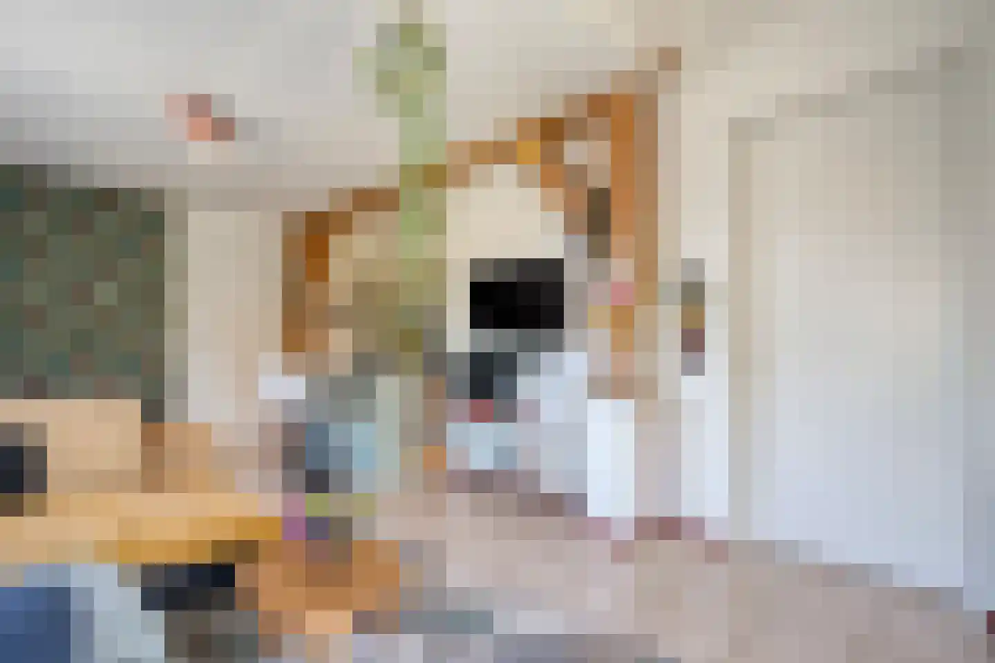 Raalterweg 24 a Wijhe thumbnail 53