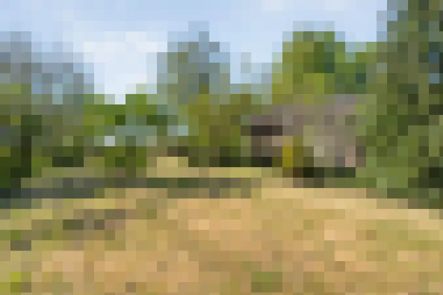 Raalterweg 24 a Wijhe thumbnail 70