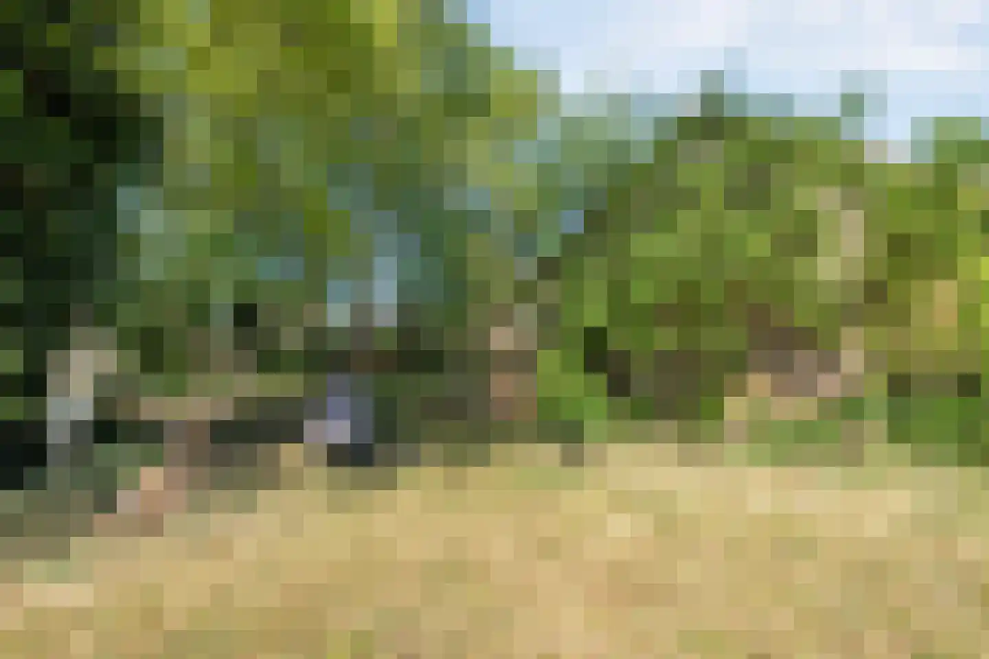 Raalterweg 24 a Wijhe thumbnail 74