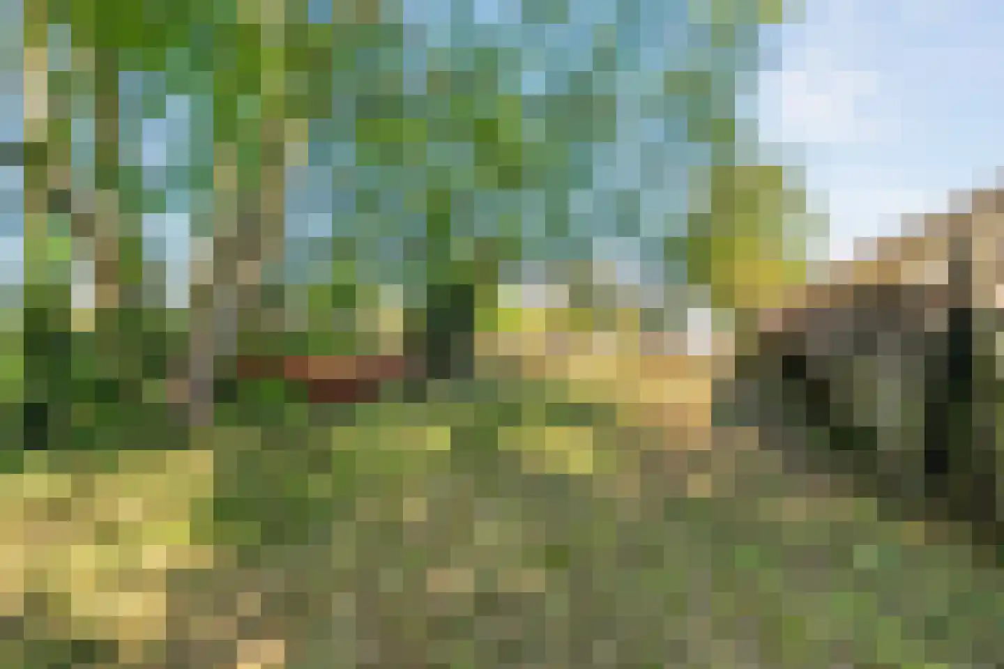 Raalterweg 24 a Wijhe thumbnail 75