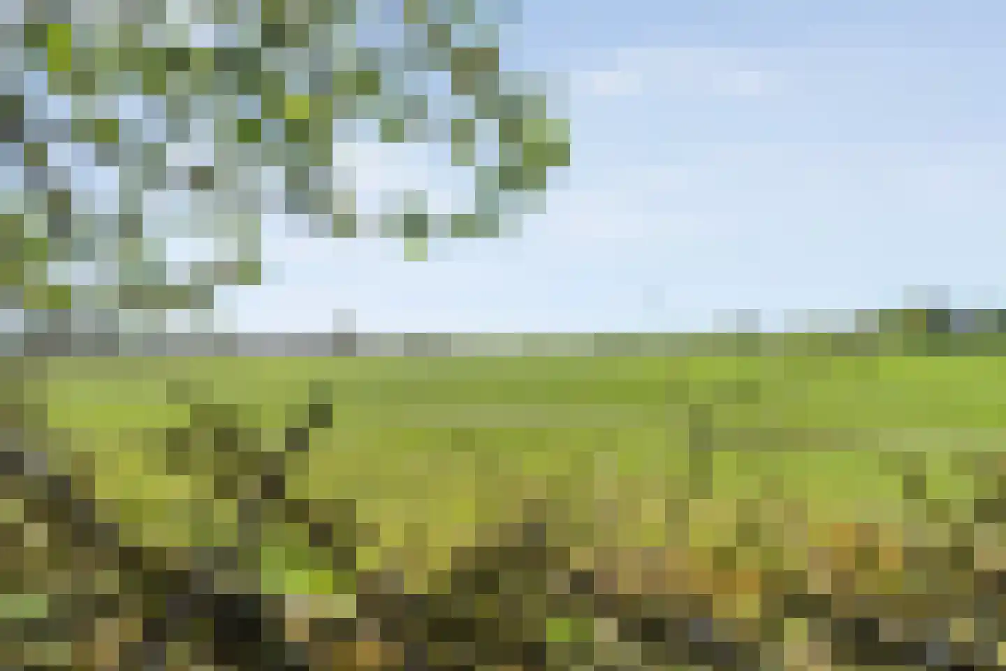 Raalterweg 24 a Wijhe thumbnail 77
