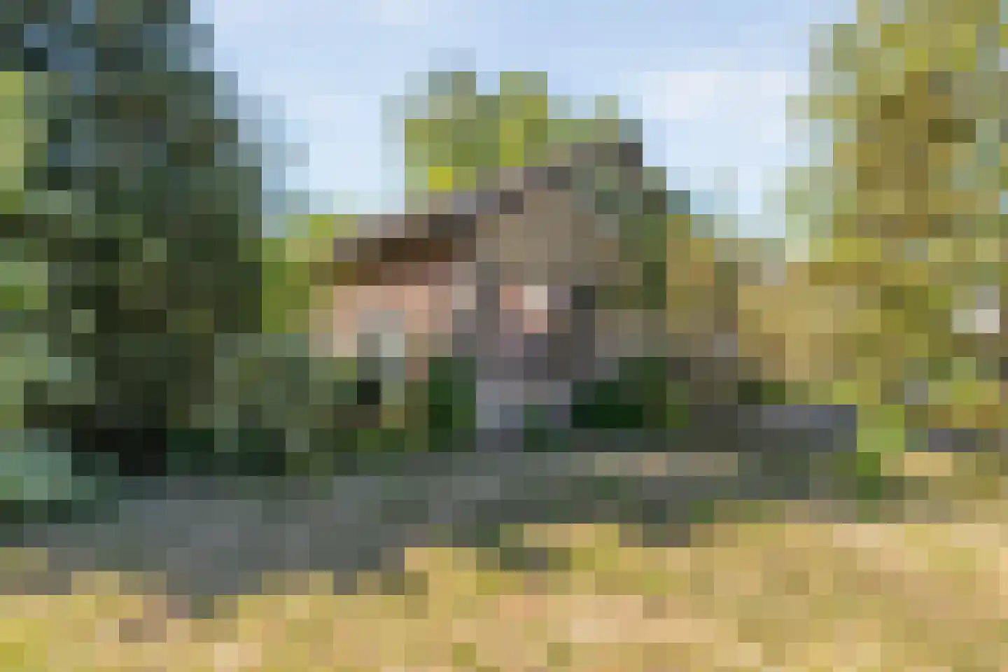 Raalterweg 24 a Wijhe thumbnail 85