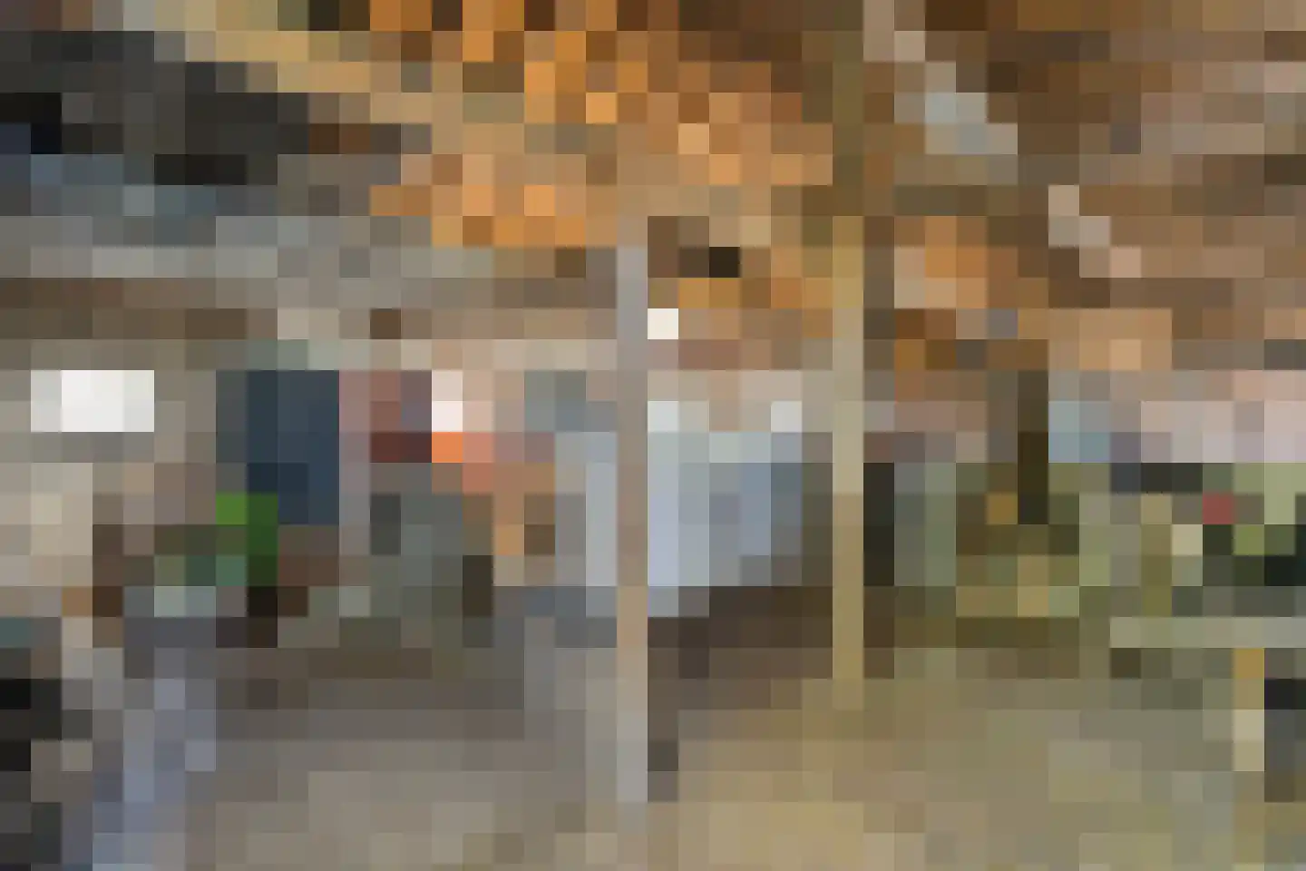 Raalterweg 24 a Wijhe thumbnail 86