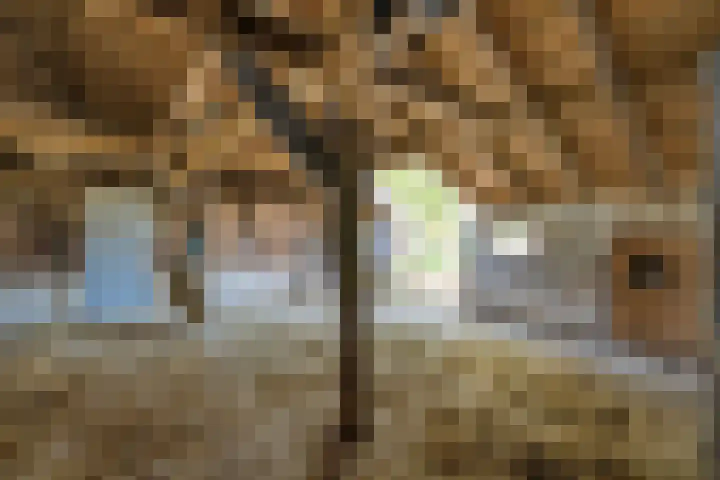Raalterweg 24 a Wijhe thumbnail 88