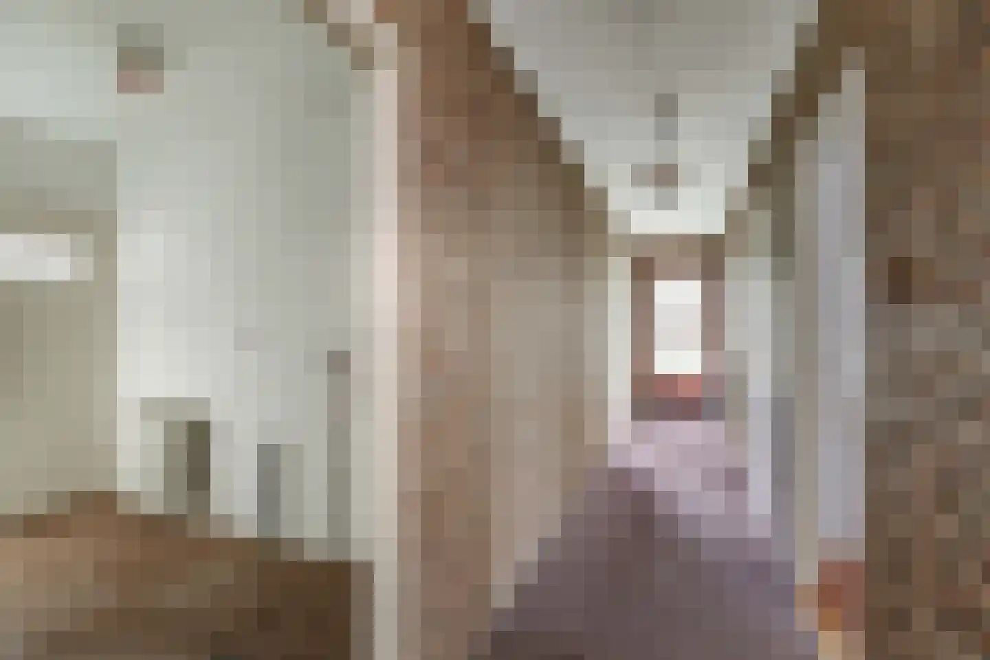 Raalterweg 26 Schalkhaar thumbnail 12