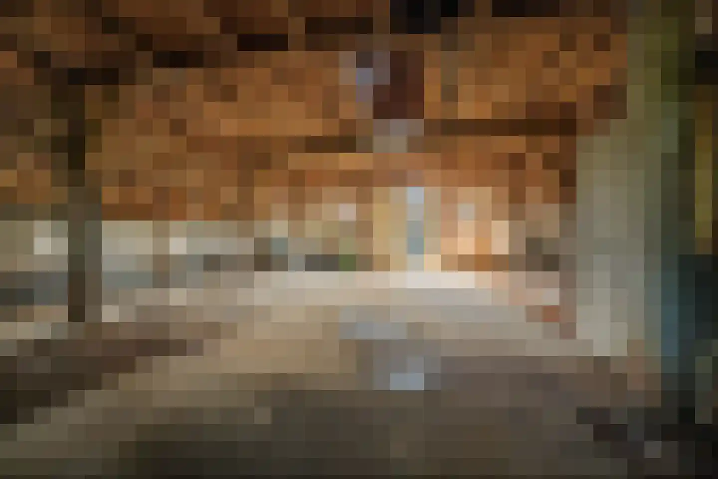 Raalterweg 26 Schalkhaar thumbnail 15