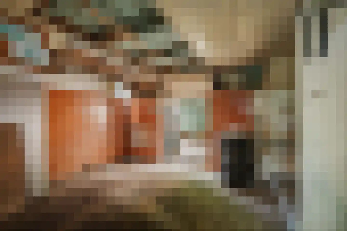 Raalterweg 26 Schalkhaar thumbnail 16