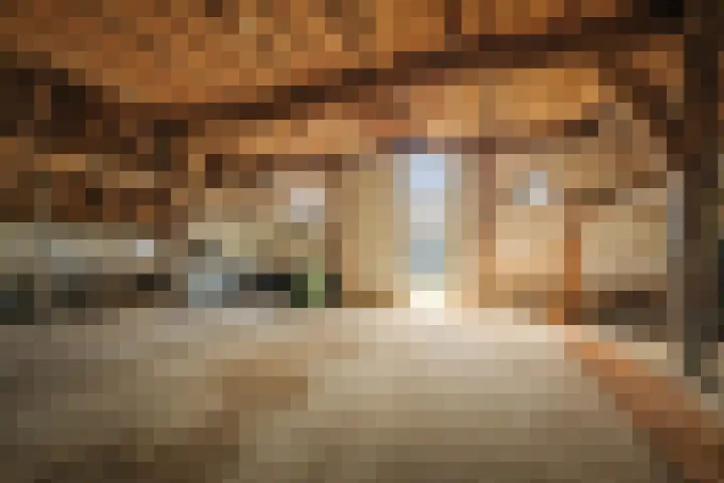 Raalterweg 26 Schalkhaar thumbnail 17