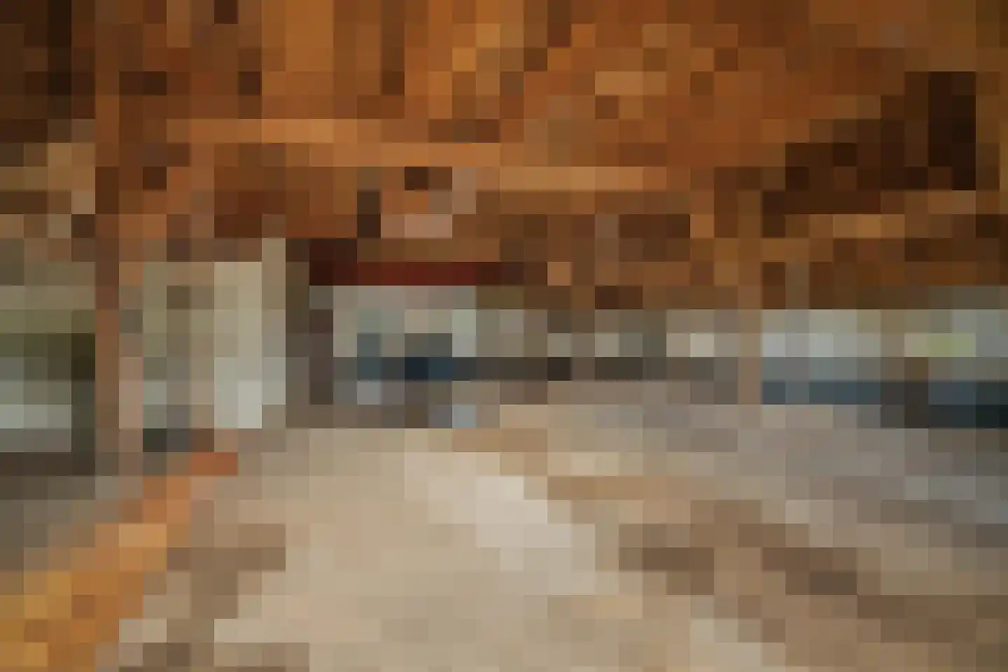 Raalterweg 26 Schalkhaar thumbnail 18