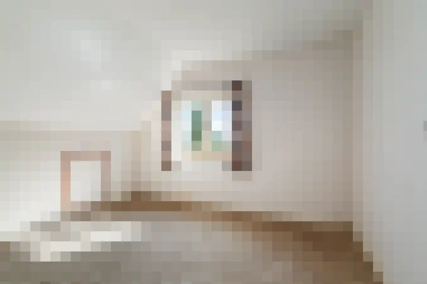 Raalterweg 26 Schalkhaar thumbnail 22