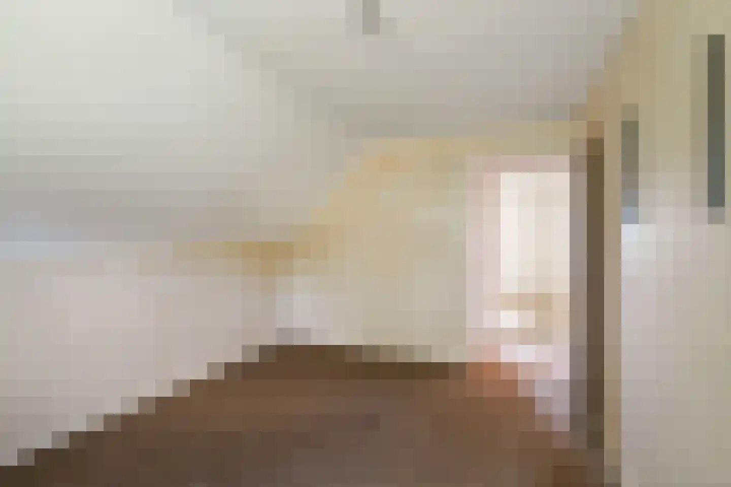 Raalterweg 26 Schalkhaar thumbnail 24