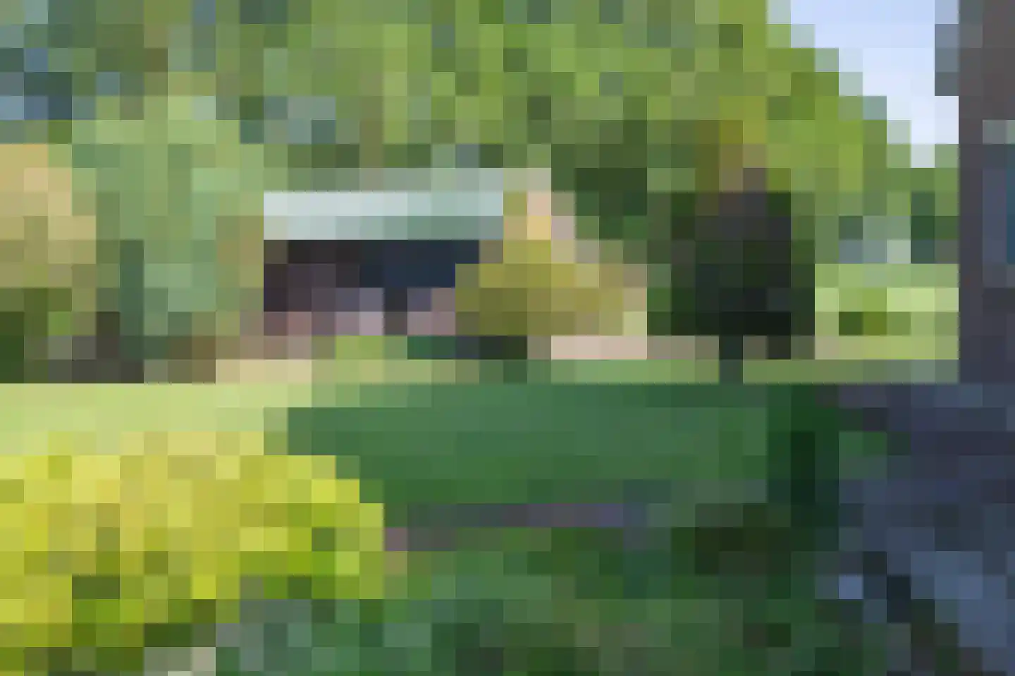 Raalterweg 26 Schalkhaar thumbnail 27