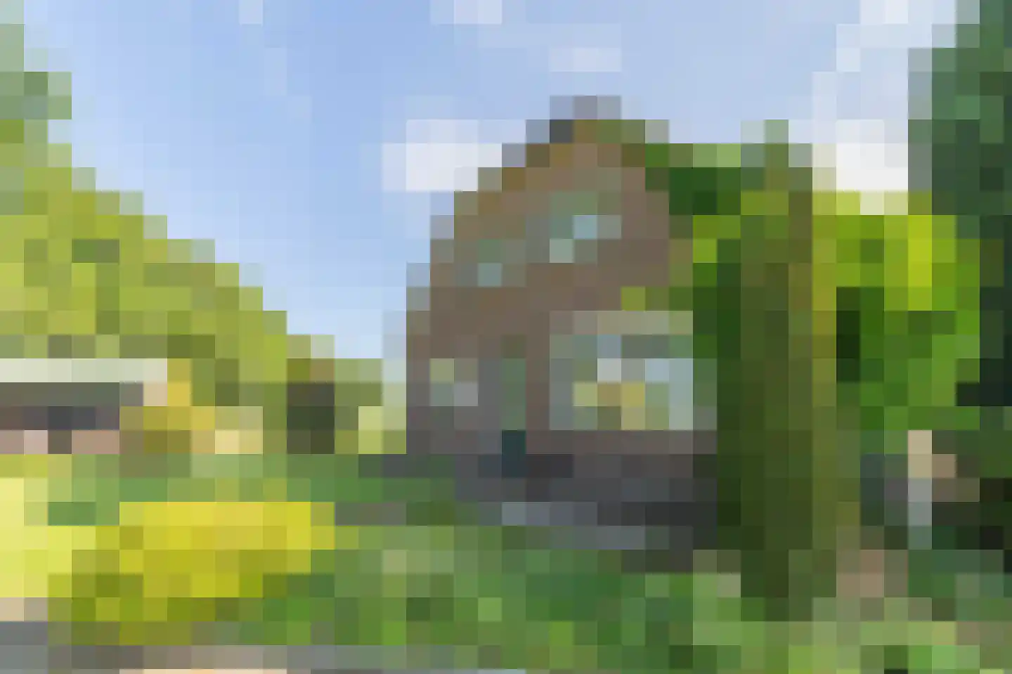 Raalterweg 26 Schalkhaar thumbnail 31