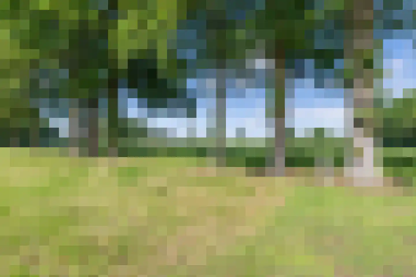 Raalterweg 26 Schalkhaar thumbnail 33