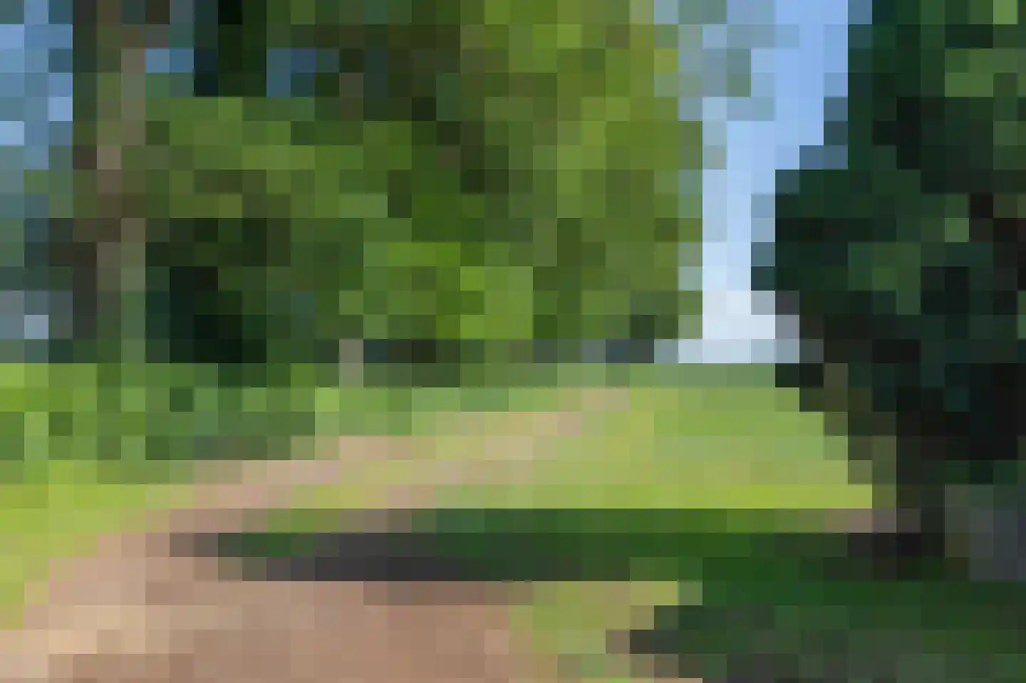 Raalterweg 26 Schalkhaar thumbnail 35