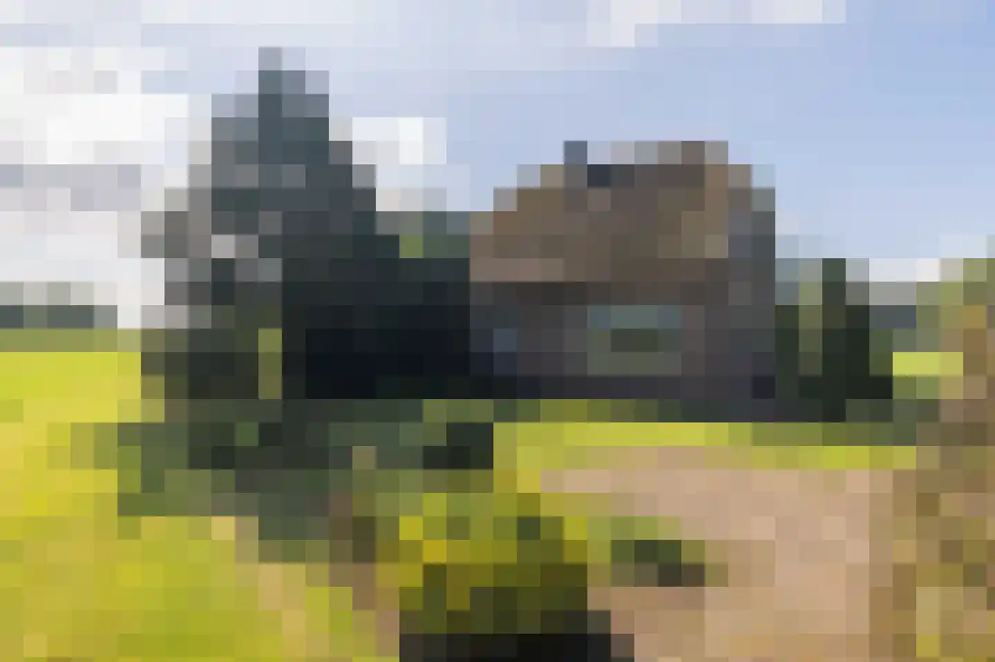 Raalterweg 26 Schalkhaar thumbnail 37