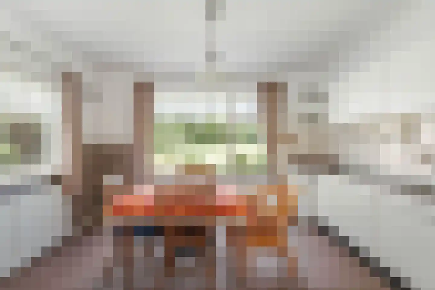 Raalterweg 26 Schalkhaar thumbnail 7