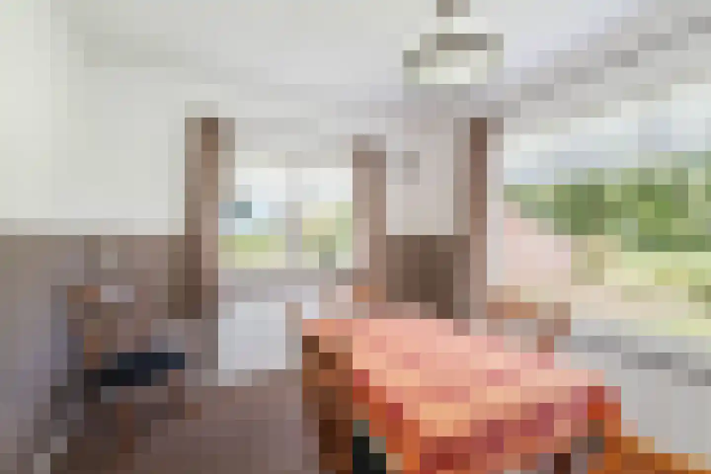 Raalterweg 26 Schalkhaar thumbnail 8