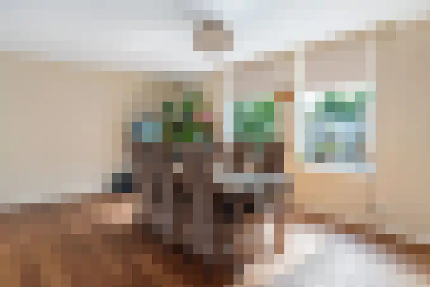 Raalterweg 46 Wesepe thumbnail 11
