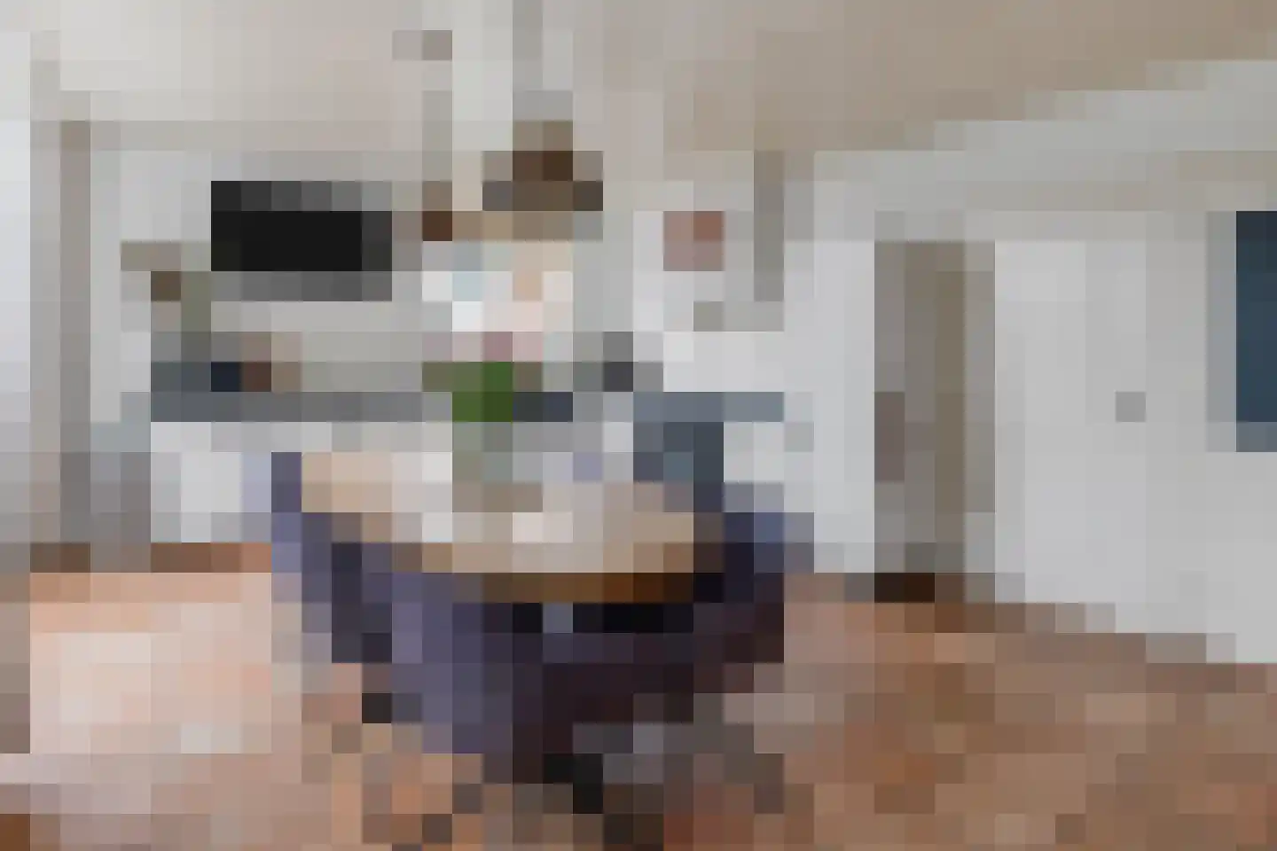 Raalterweg 46 Wesepe thumbnail 17