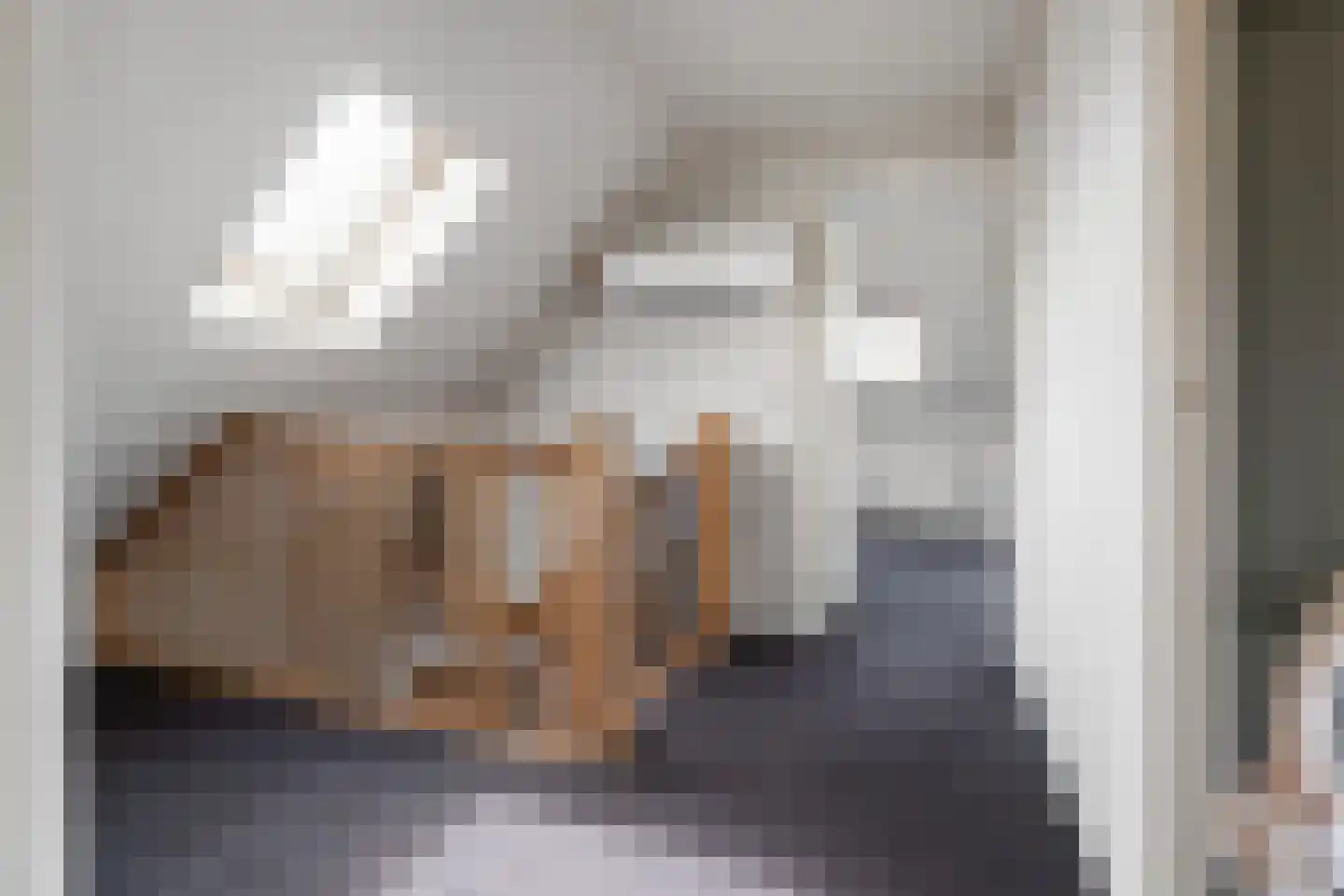Raalterweg 46 Wesepe thumbnail 22