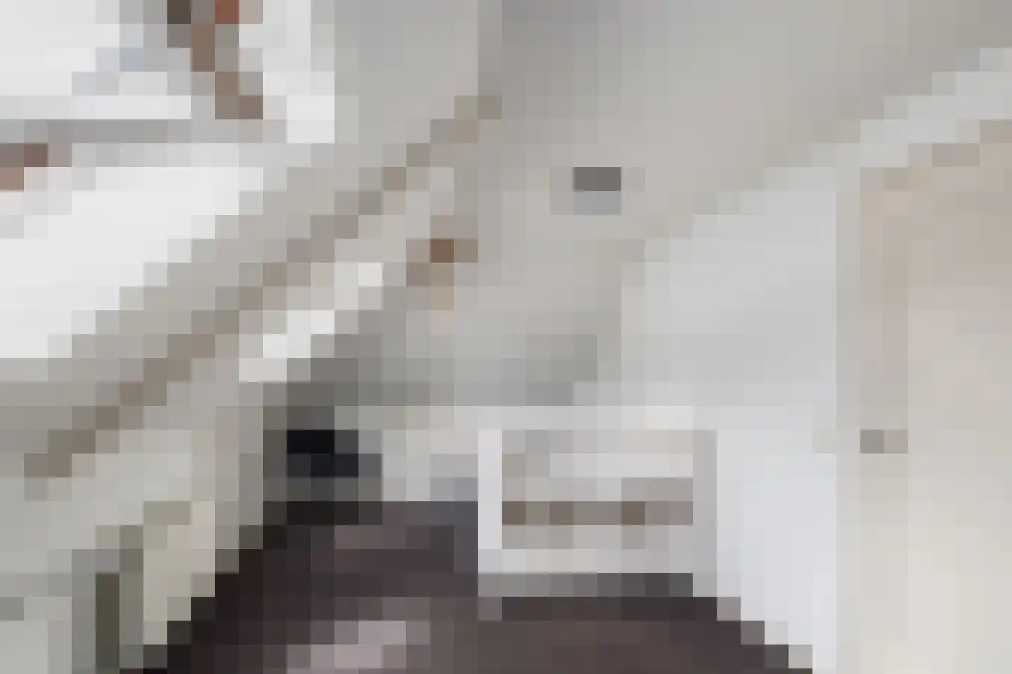 Raalterweg 46 Wesepe thumbnail 27
