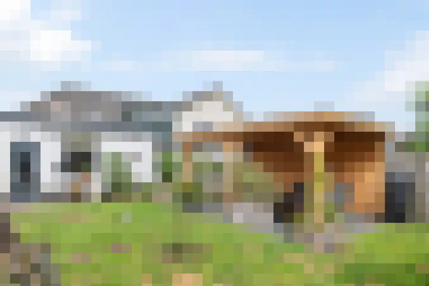 Raalterweg 46 Wesepe thumbnail 33