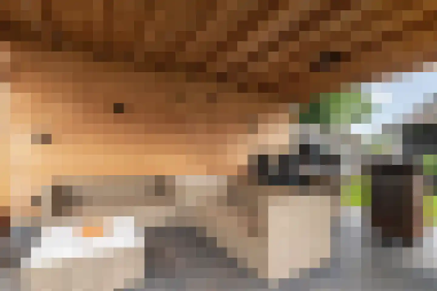 Raalterweg 46 Wesepe thumbnail 38