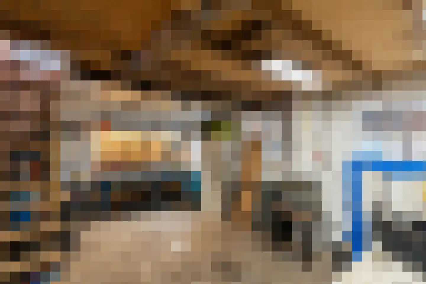 Raalterweg 46 Wesepe thumbnail 47