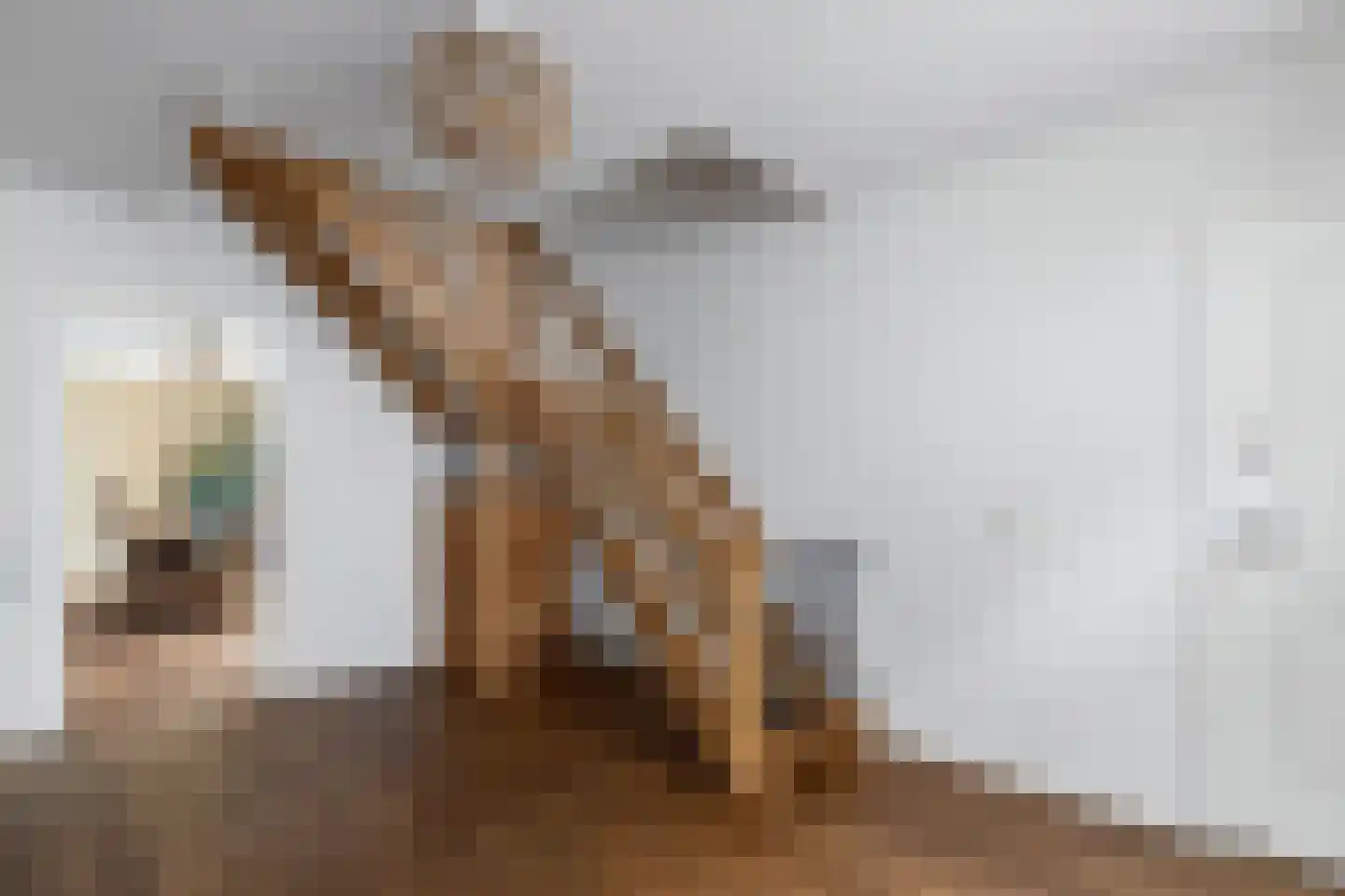 Raalterweg 46 Wesepe thumbnail 6