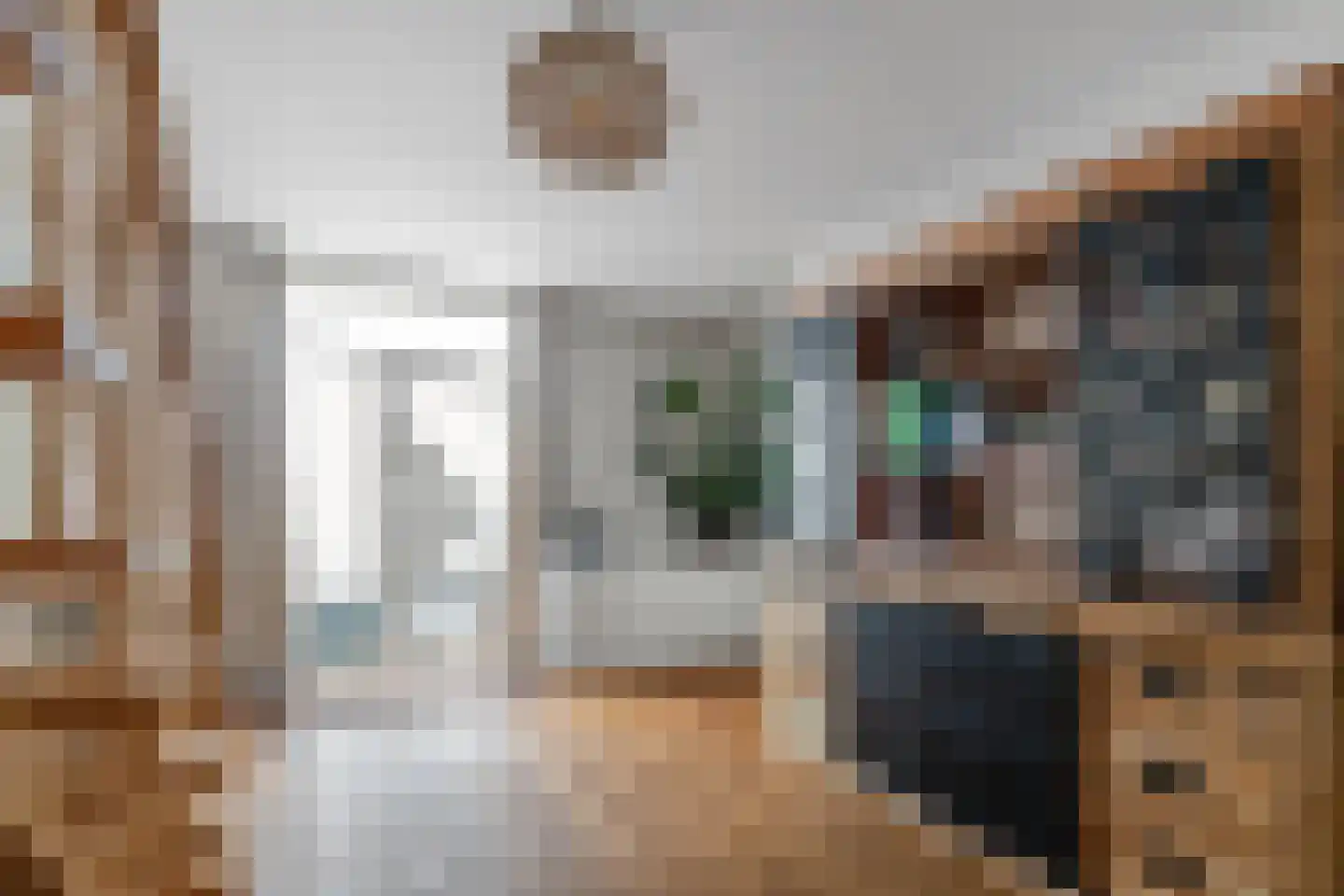 Raalterweg 46 Wesepe thumbnail 7