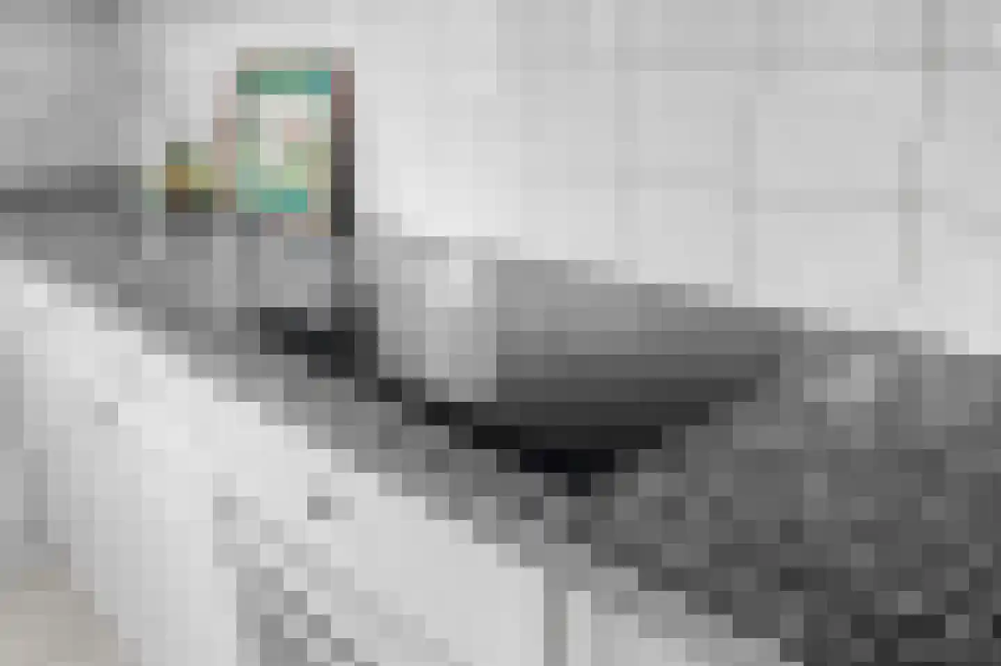 Raalterweg 5 Wijhe thumbnail 17