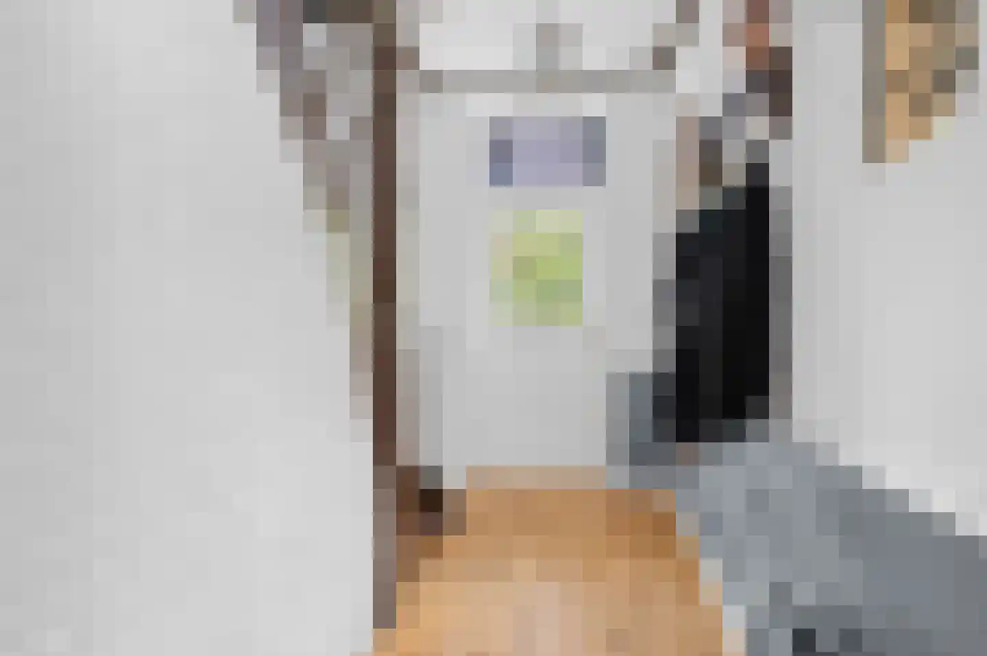 Raalterweg 5 Wijhe thumbnail 22