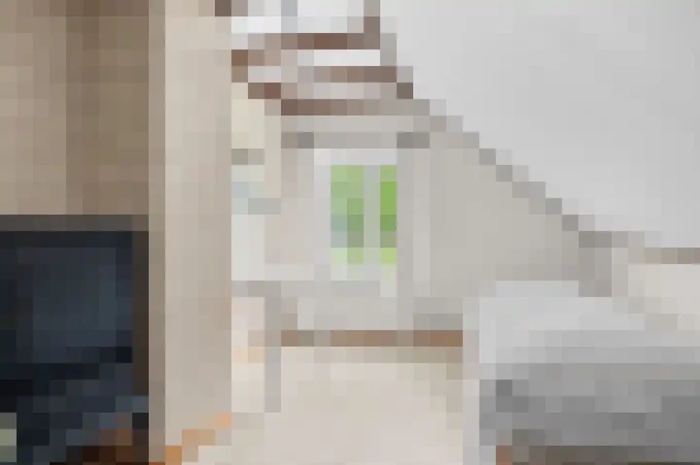 Raalterweg 5 Wijhe thumbnail 26